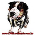 /album/fotos-do-botafogo/cachorro-jpg/