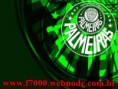 /album/fotos-do-palmeiras/palmeiras-jpg/